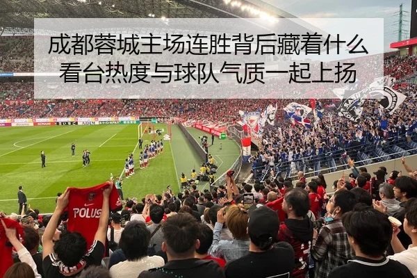 成都蓉城主场连胜背后藏着什么 看台热度与球队气质一起上扬
